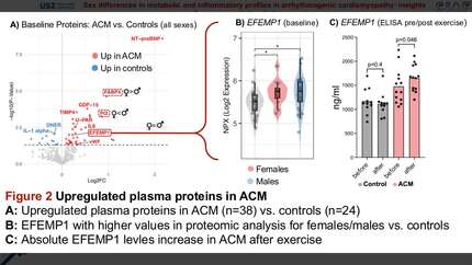 Sex differences in metabolic and inflammatory profiles in arrhythmogenic cardiomyopathy: insights from myocardial and plasma omics