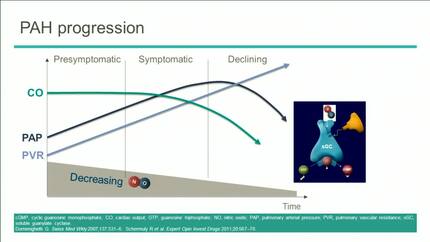PAH: defining the current clinical challenges.