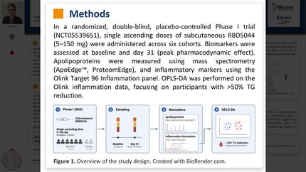 Apolipoprotein and inflammatory biomarker changes following marked triglyceride reduction with the GalNAc-conjugated APOC3 siRNA RBD5044