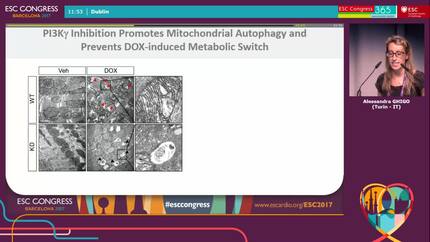 Presentation thumbnail