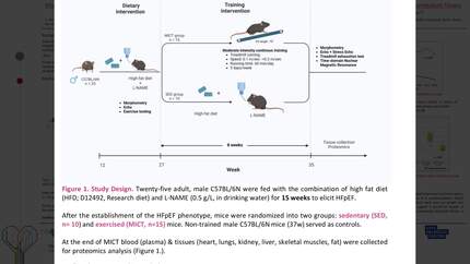Moderate intensity exercise training ameliorates the heart failure with preserved ejection fraction phenotype in a preclinical model by improving cardiometabolic fitness