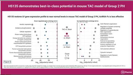 HS135, a novel activin and GDF trap, is highly efficacious in preclinical models of pulmonary hypertension and obesity-associated heart failure with preserved ejection fraction