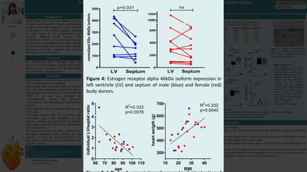 Presentation thumbnail