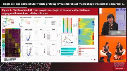 Multi-omics and single-cell approaches to assess cardiometabolic risk 