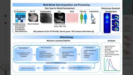 Interpretable artificial intelligence-based transthyretin amyloid cardiomyopathy detection in patients with severe aortic stenosis