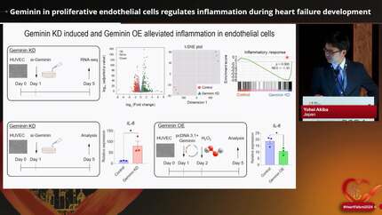 Presentation thumbnail
