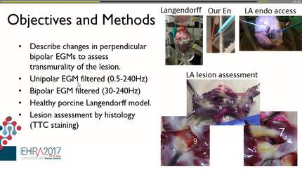 Presentation thumbnail