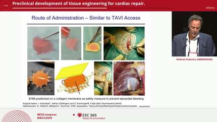 Preclinical development of tissue engineering for cardiac repair.