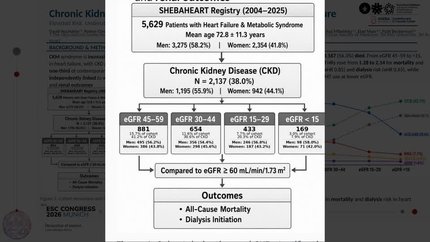 Chronic kidney disease in metabolic syndrome and heart failure: elevated risk, underutilized therapies, and missed opportunities for improved outcomes