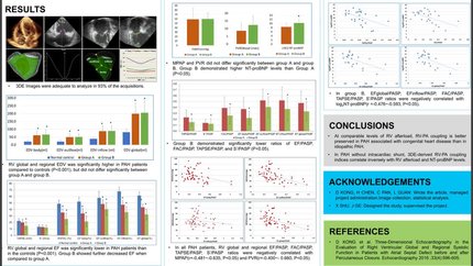 Right ventricular-pulmonary arterial coupling in patients with different etiologies of pulmonary arterial hypertension evaluated by three-dimensional echocardiography