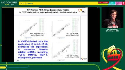 Presentation thumbnail