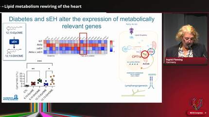 Presentation thumbnail