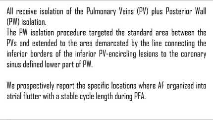 Presentation thumbnail