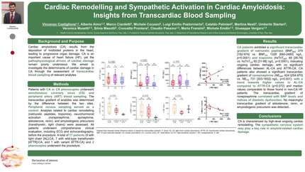 Cardiac remodelling and sympathetic activation in cardiac amyloidosis: insights from transcardiac blood sampling