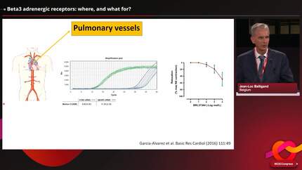 Presentation thumbnail