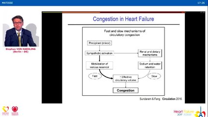Presentation thumbnail