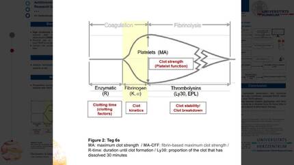 Presentation thumbnail