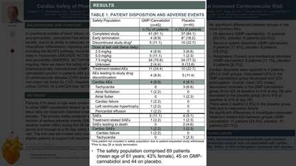 Presentation thumbnail