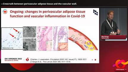 Presentation thumbnail