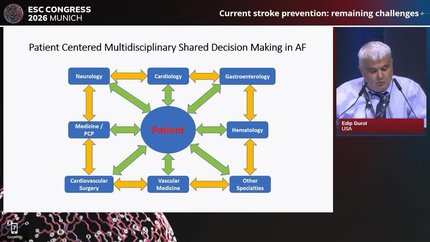 Avoiding stroke in atrial fibrillation: evolving evidence beyond the 2024 Guidelines