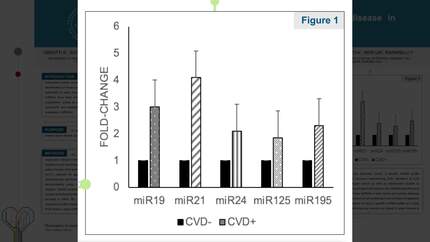 Presentation thumbnail