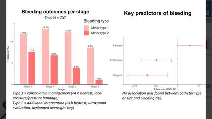 Presentation thumbnail