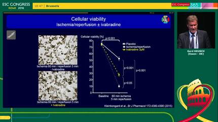 Presentation thumbnail