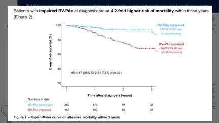 RV-PA uncoupling is a strong predictor of 3-year all-cause mortality in transthyretin amyloid cardiomyopathy.