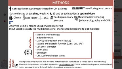 Machine-learning clustering uncovers divergent response pathways to mavacamten in obstructive HCM: a portuguese multicentre perspective