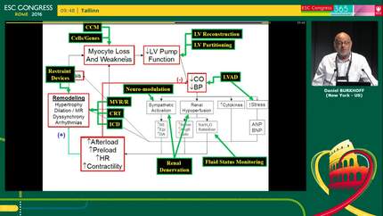 Presentation thumbnail