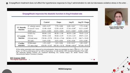 Empagliflozin treatment does not affect the hypertensive response to Ang II administration to rats but decreases oxidative stress in the arterial wall, and endothelial and cardiac dysfunction 