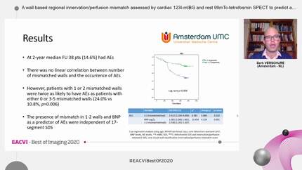 A wall based regional innervation/perfusion mismatch assessed by cardiac 123I-mIBG and rest 99mTc-tetrofosmin SPECT to predict arrhythmic events in ischemic heart failure patients