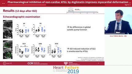 Pharmacological inhibition of non-cardiac ATGL by Atglistatin improves myocardial deformation in a murine model of cardiac fibrosis