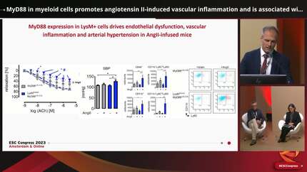 Presentation thumbnail