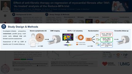 Effect of anti-fibrotic therapy on regression of myocardial fibrosis after TAVI: 'As-treated' analysis of the Reduce-MFA DZHK 25-trial