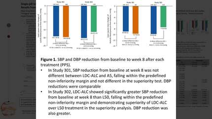 Presentation thumbnail