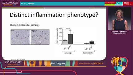 Presentation thumbnail