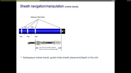 Presentation thumbnail