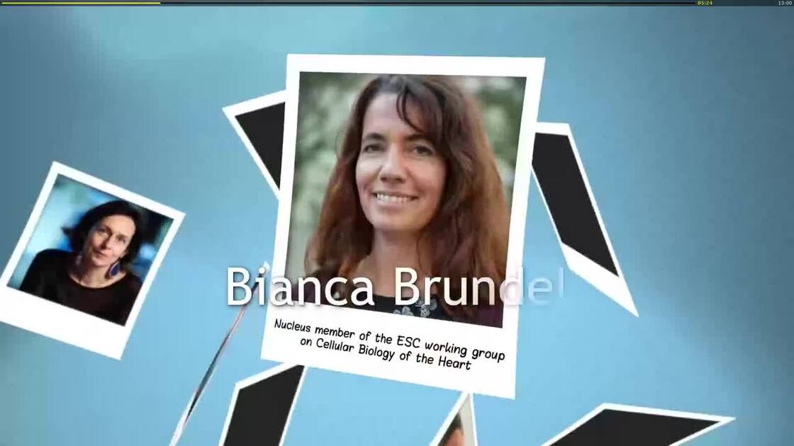 ESC 365 FCVB 2024 in Amsterdam