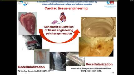 Presentation thumbnail