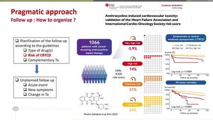 Role of echocardiography in cardio-oncology: from diagnosis to follow-up