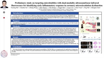 Preliminary study on targeting microbubbles with dual-modality ultrasound/near-infrared fluorescence for identifying early inflammatory response in coronary microcirculation dysfunction