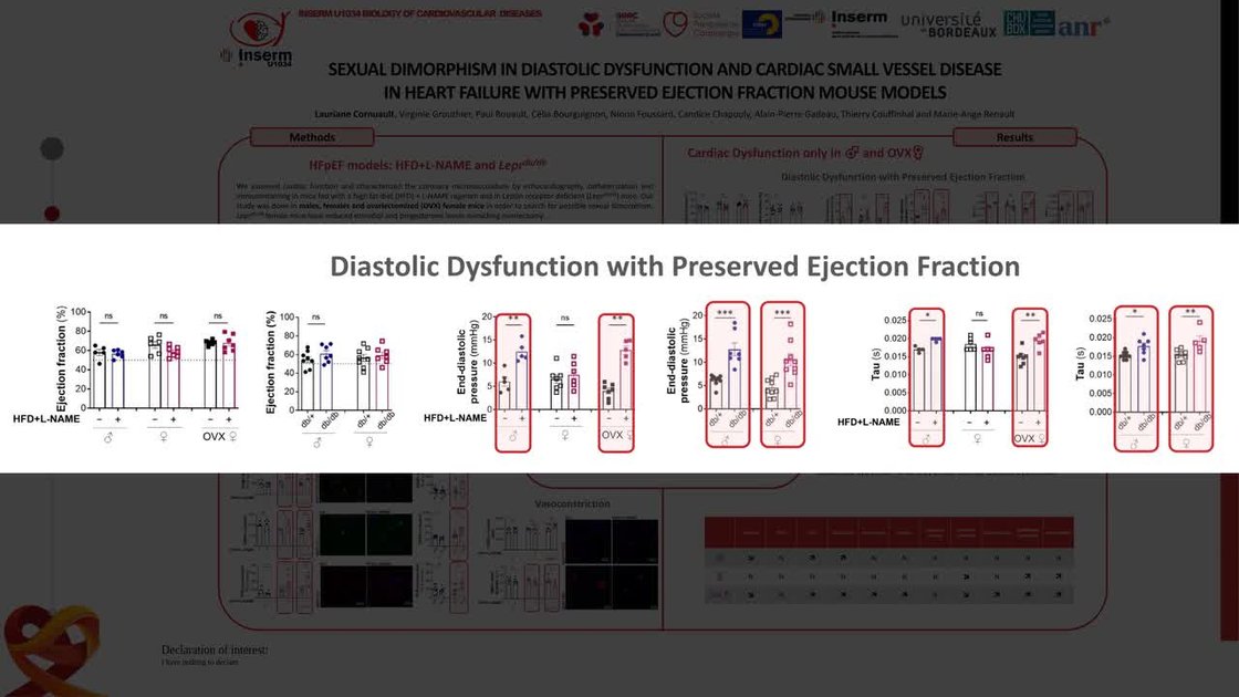 ESC 365 - Diastolic dysfunction is associated with cardiac small vessel ...