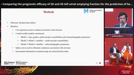 Echocardiographic quantification of cardiac function