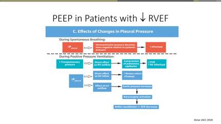 Presentation thumbnail