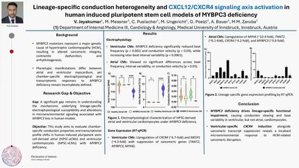 Lineage-specific conduction heterogeneity and CXCL12/CXCR4 signaling axis activation in human induced pluripotent stem cell models of MYBPC3 deficiency