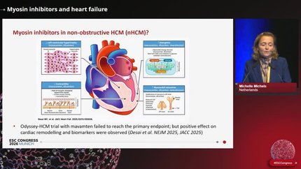 Presentation thumbnail