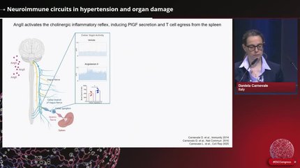 Presentation thumbnail