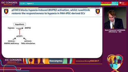 JAK1/2 inhibitor ruxolitinib restores the responsiveness to hypoxia in pulmonary arterial hypertension-iPSC-derived endothelial cells