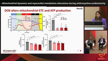Mitochondrial dynamics and myocardial metabolism alterations during anthracycline-cardiotoxicity